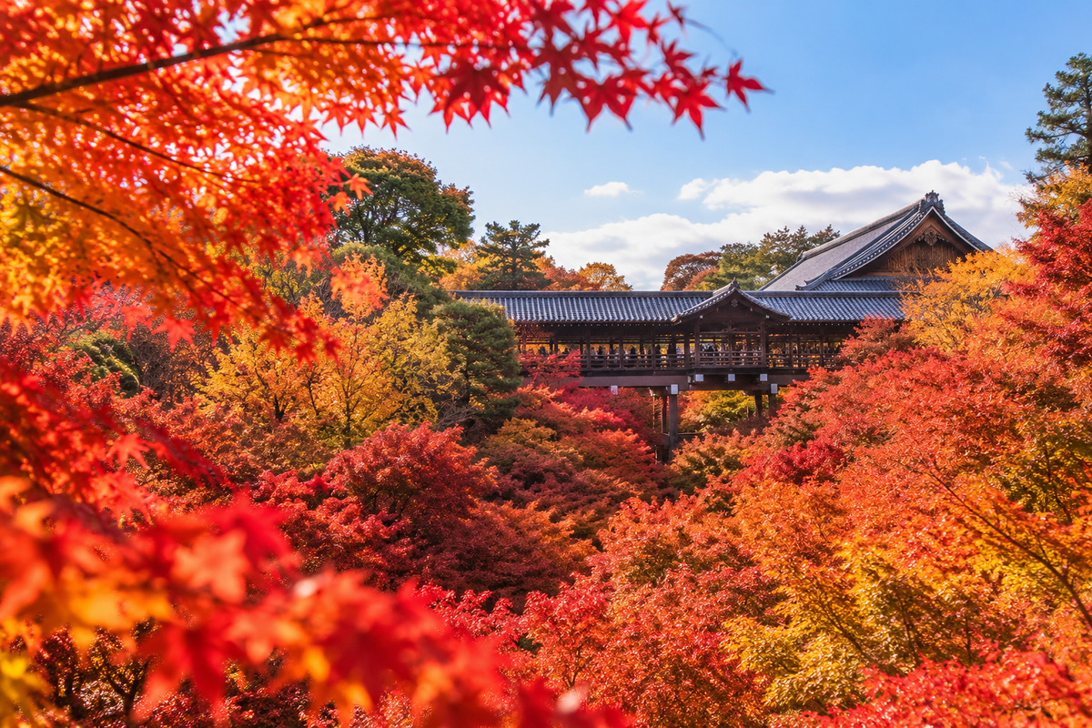 紅葉旅行の持ち物リスト｜服装・日帰りや宿泊の荷造りガイド